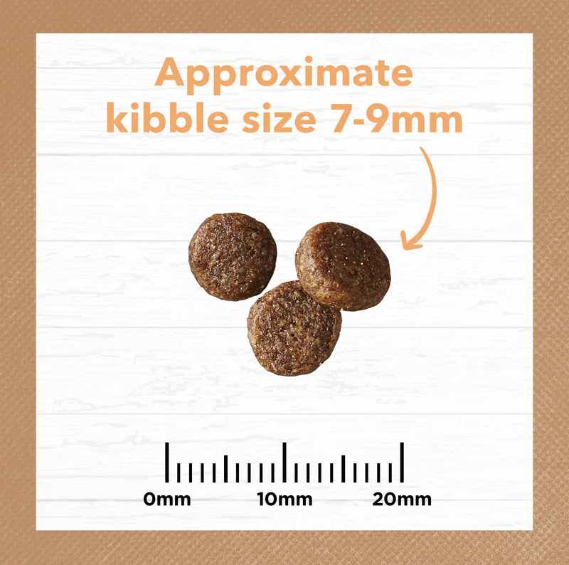 Ivory Coat - Kitten - GRAIN FREE - Chicken - 2kg