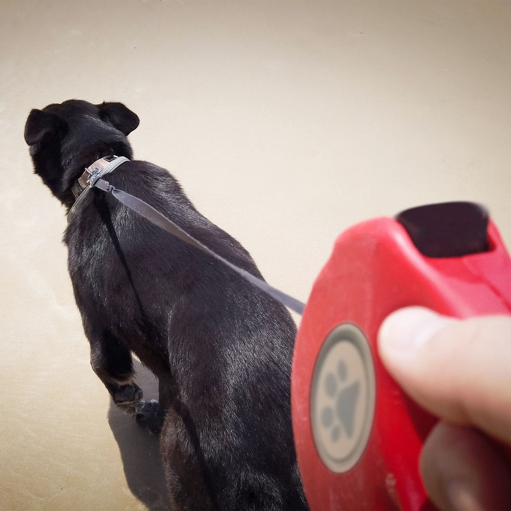 Floofi 3 in 1 Waste Beg LED Leash Black FI-PC-120-HN