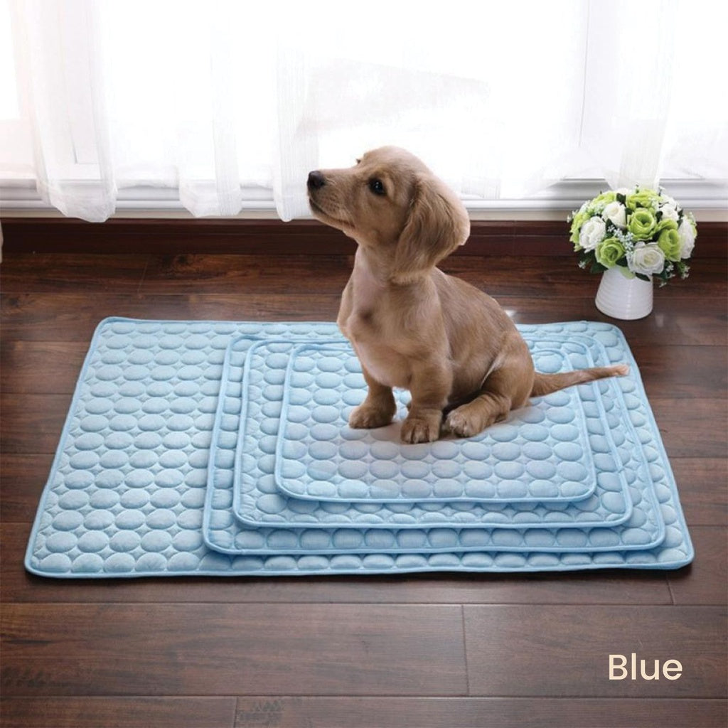 Floofi Coolcore Cooling Mat (M Blue) - PT-SM-132-QQQ