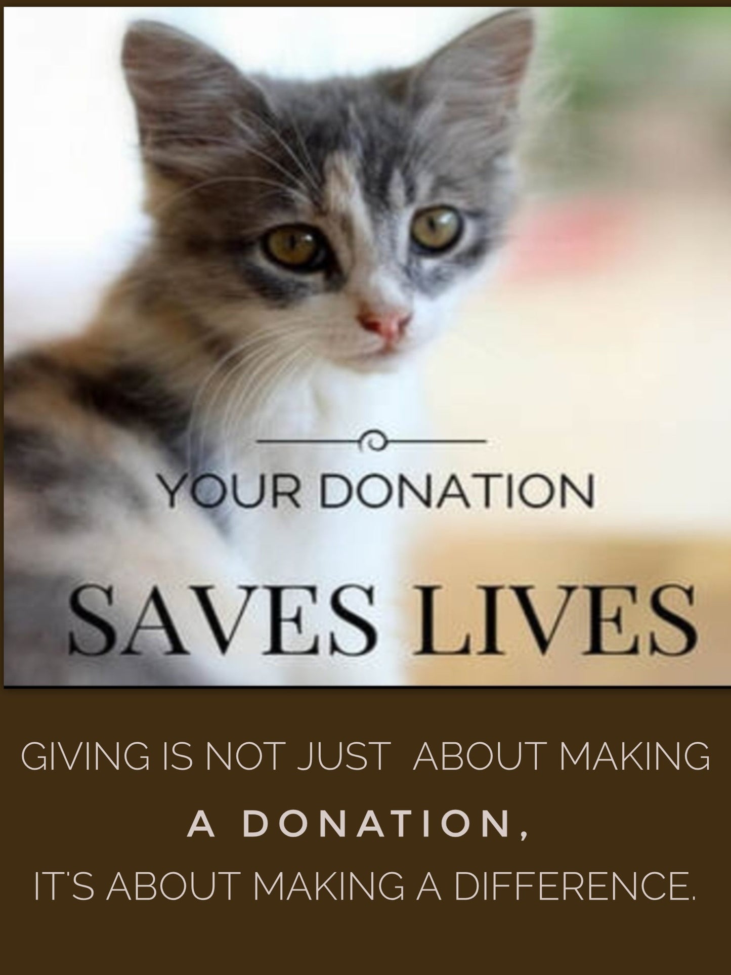 Save a Pet Foundation Ltd