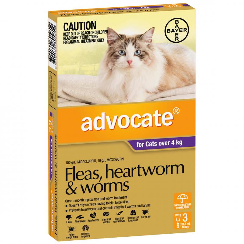 Bayer - Advocate - Flea & Worm Control - Cats over 4kg - 1 Tube 0.8ml