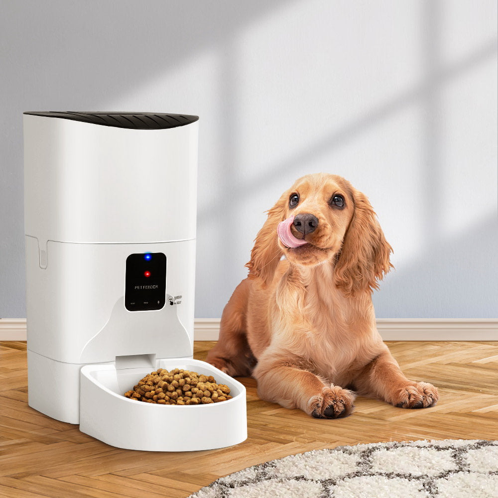 Automatic dog discount feeder wifi