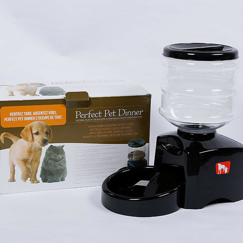 Self feeding pet outlet feeder