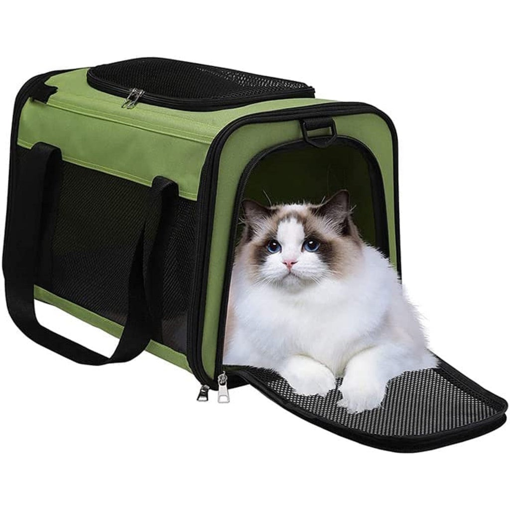 Floofi Portable Pet Carrier-L Size (Green) FI-PC-140-FCQ