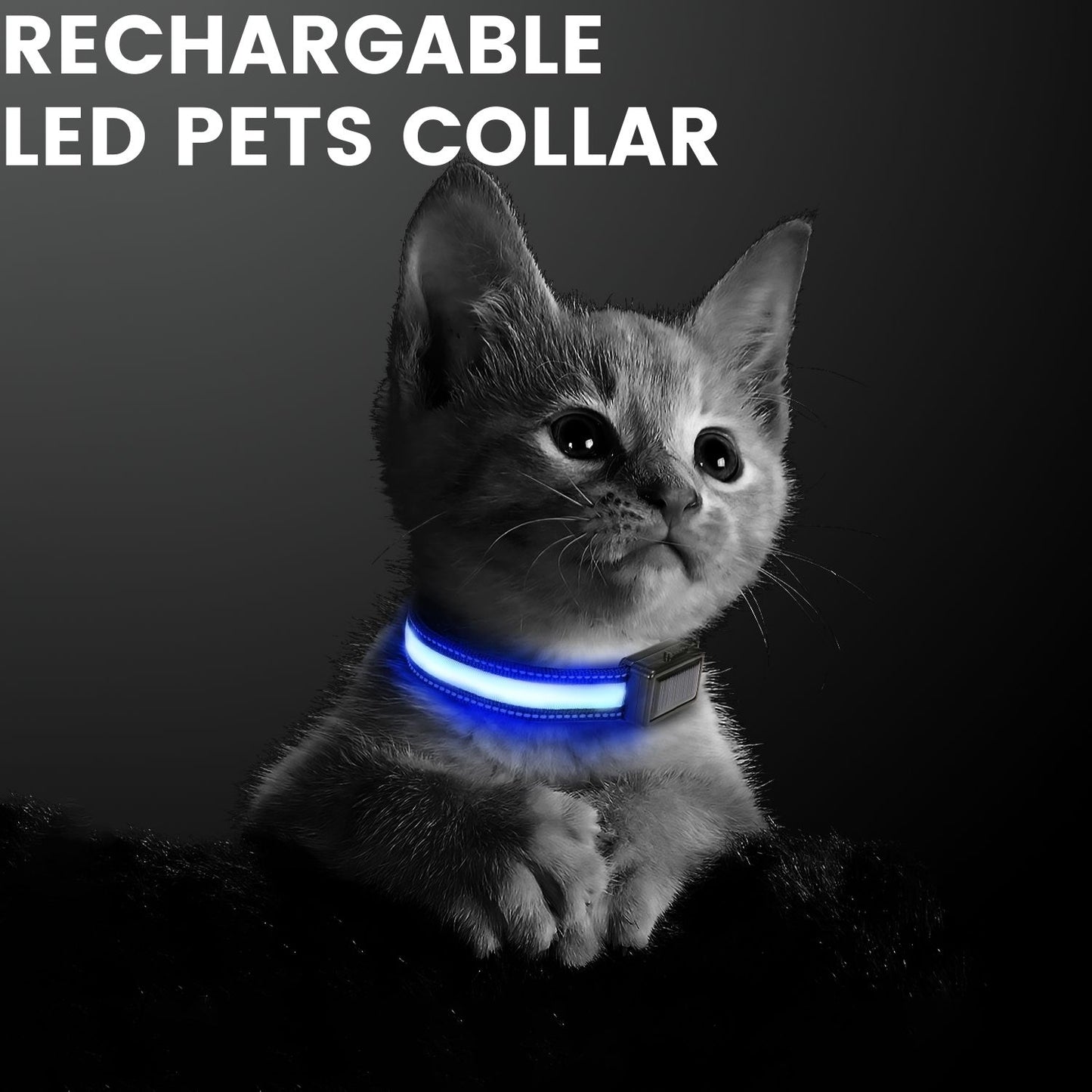 Floofi Solar USB Rechargable LED Dog Collar (M Pink) - PT-DC-141-QQQ