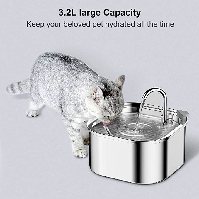 Electric pet outlet water bowl