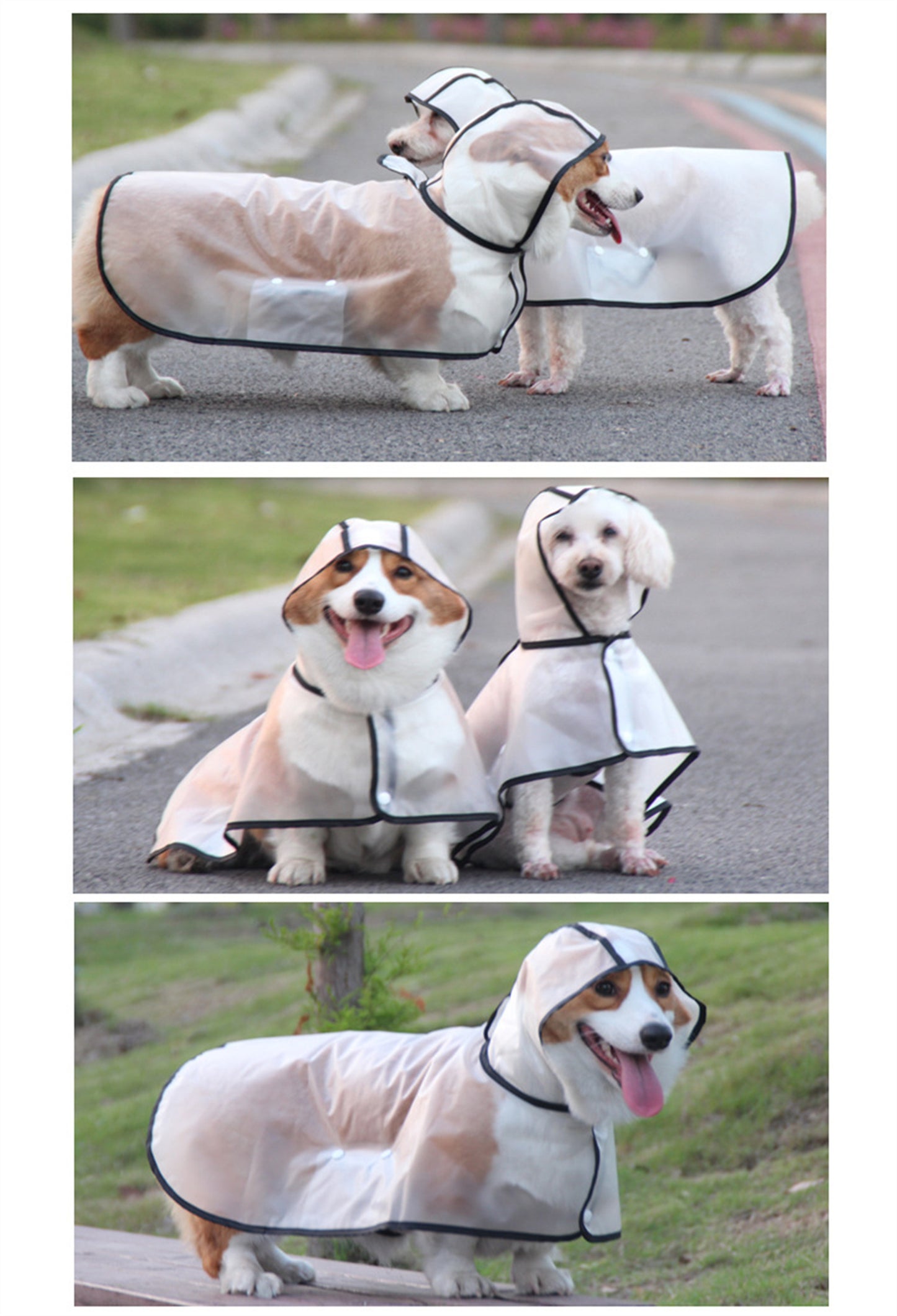 Pawfriends TPU Transparent Pet Cape Raincoat Large Dog Teddy Fado Koki Dog Clothing