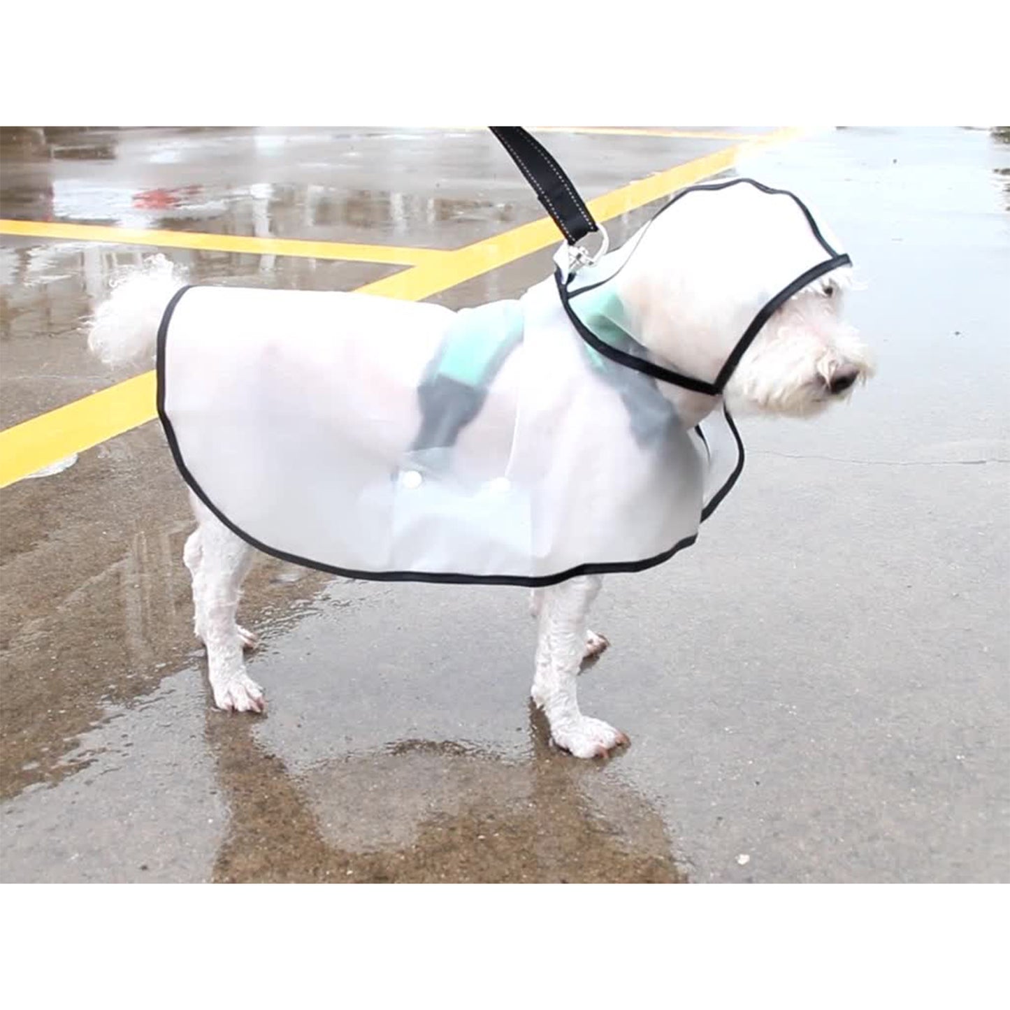 Pawfriends TPU Transparent Pet Cape Raincoat Large Dog Teddy Fado Koki Dog Clothing