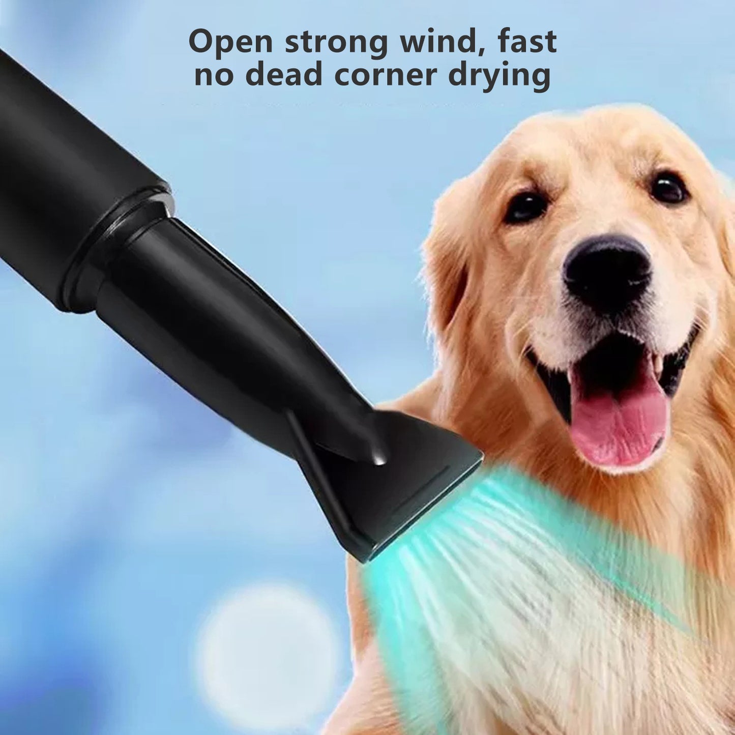 Pawfriends Dog Cat Hair Dryer Grooming Blow Speed 2000W Pet Hairdryer Blower Heater Blaster